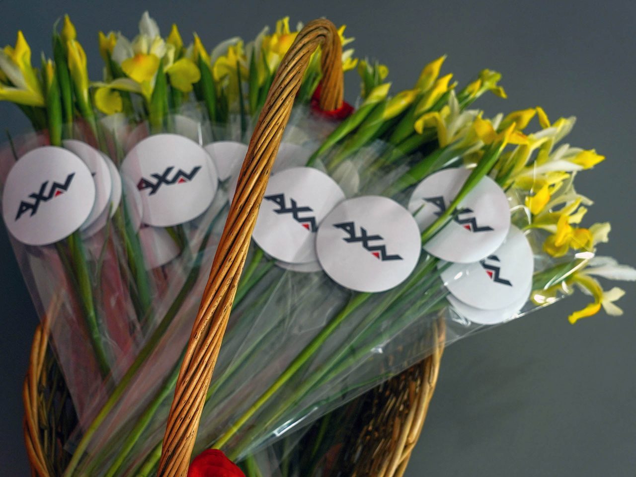 AXN Unbox Spring Season