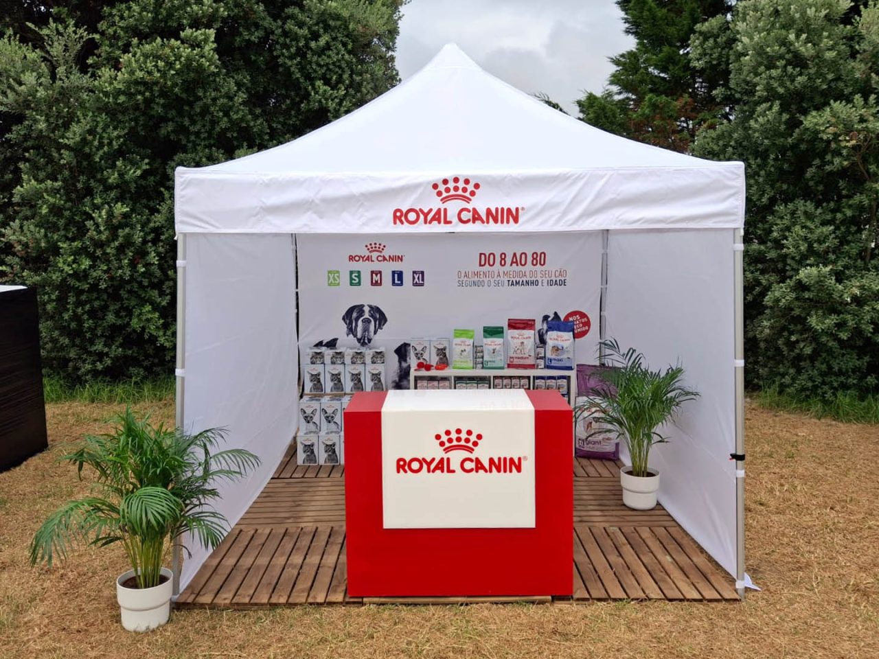 Royal Canin Festival da Comida Continente