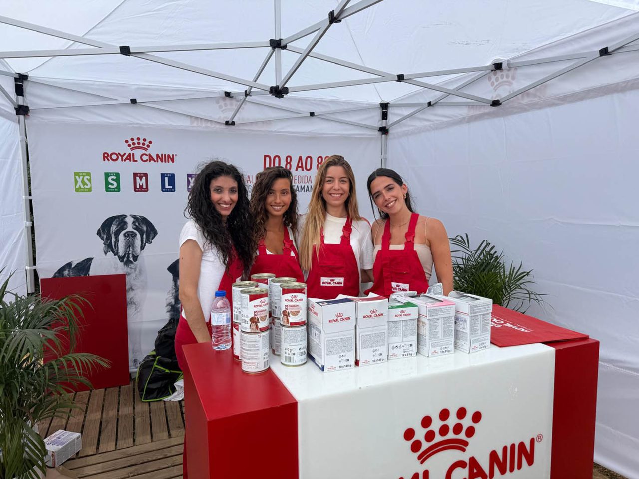 Royal Canin Festival da Comida Continente